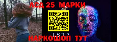 гидропоника Бузулук