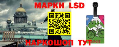 стаф Будённовск