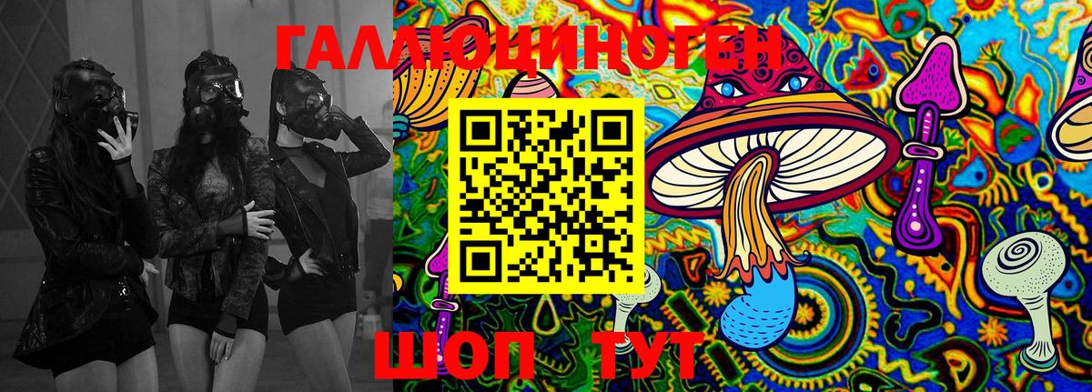 Галлюциногенные грибы Psilocybe Трёхгорный