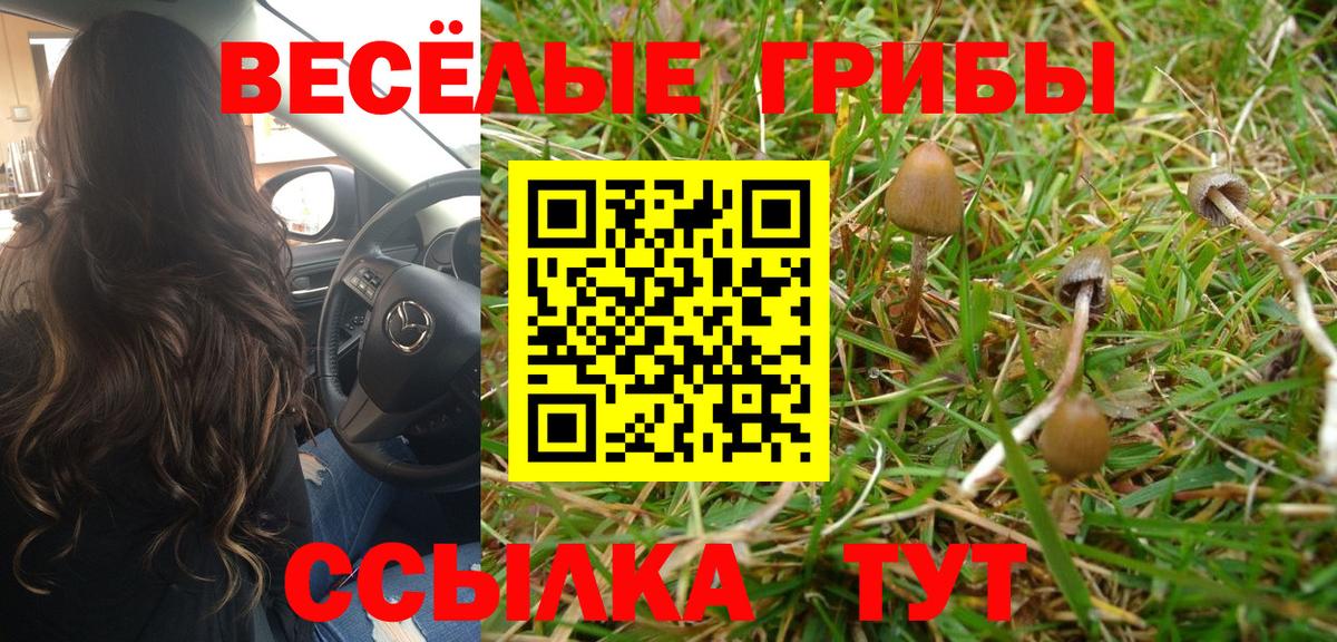 Галлюциногенные грибы Psilocybine cubensis  Вход с VPN  Трёхгорный 